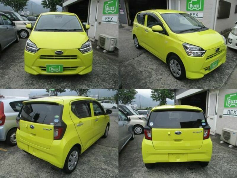PLEO PLUS