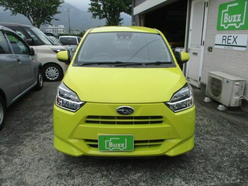 PLEO PLUS