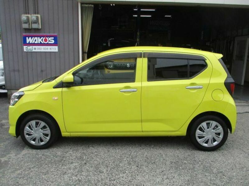 PLEO PLUS