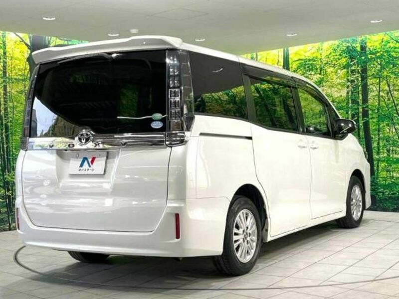 VOXY-17