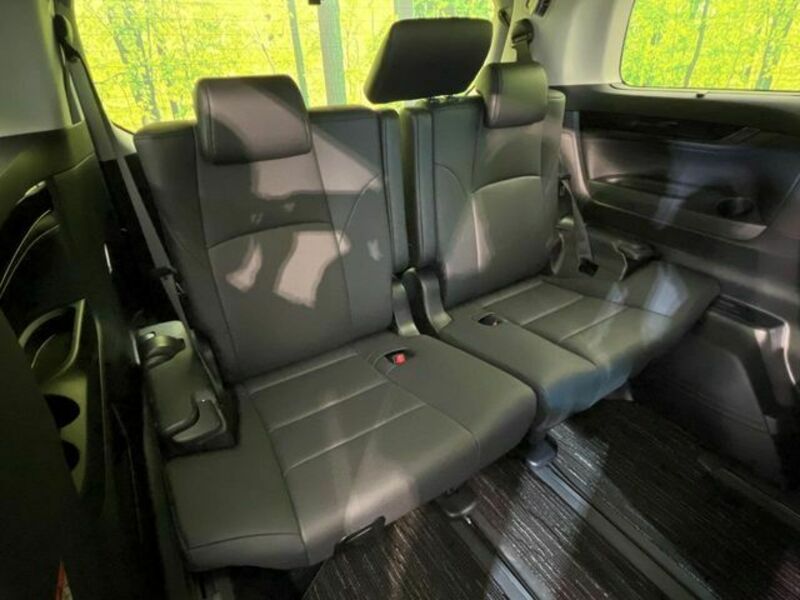 ALPHARD-10