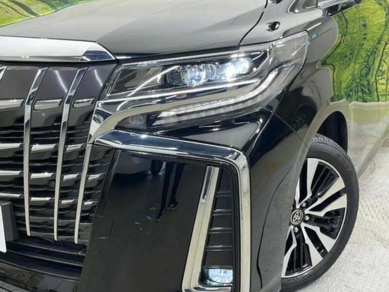 ALPHARD-12