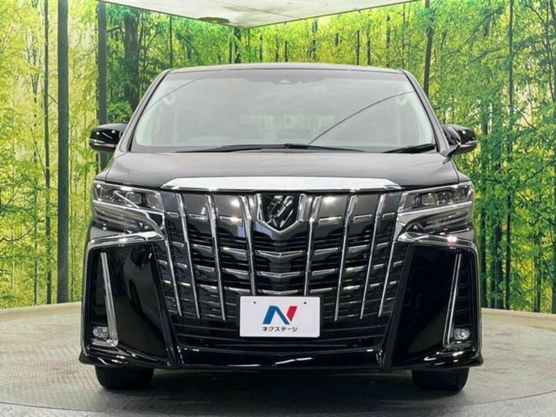 ALPHARD-14