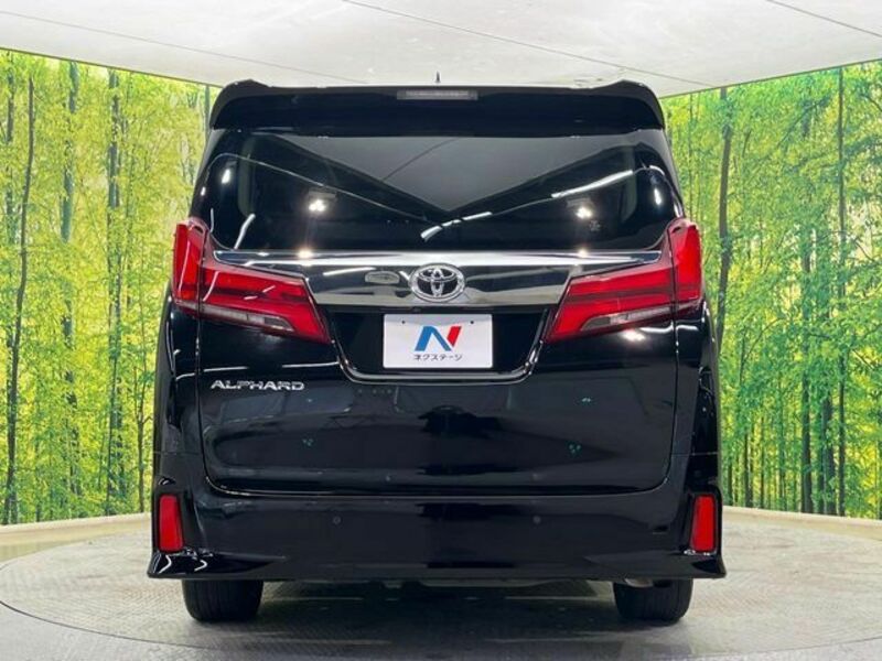ALPHARD-15