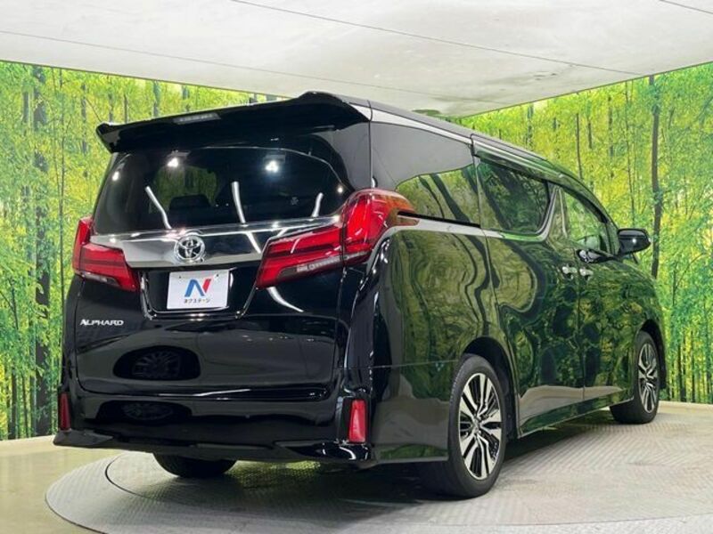 ALPHARD-16