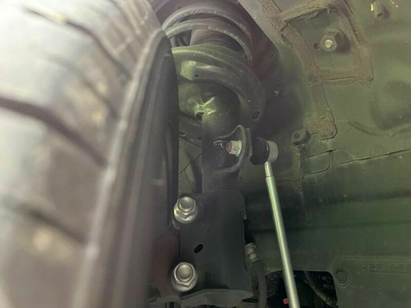 ALPHARD-19