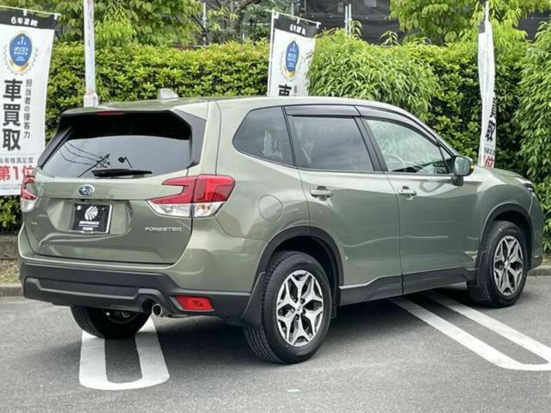 FORESTER