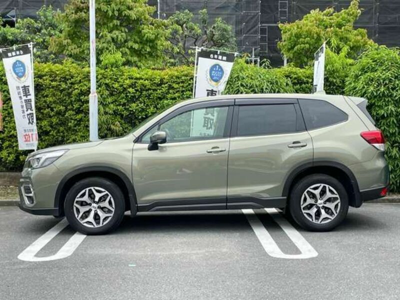 FORESTER