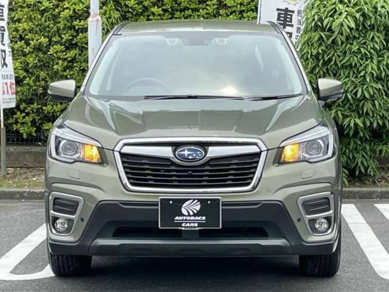 FORESTER