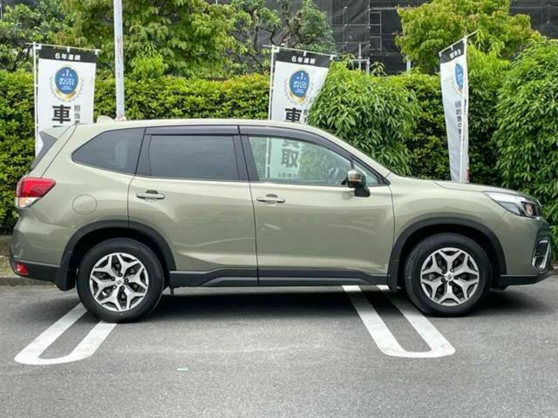 FORESTER