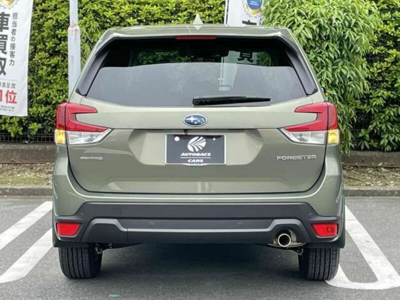 FORESTER