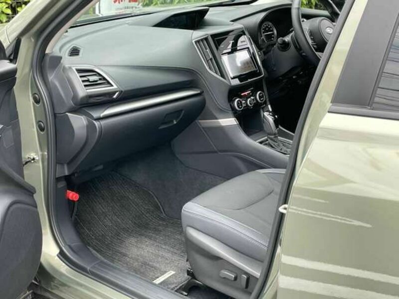 FORESTER