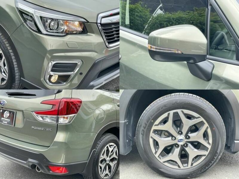 FORESTER