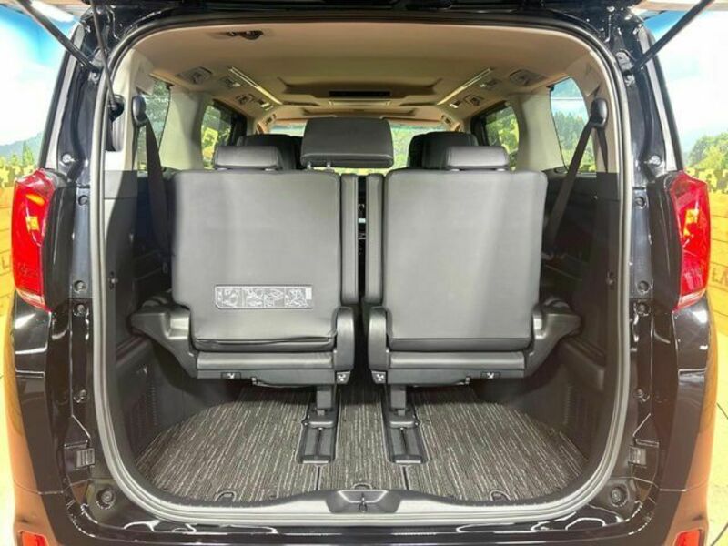 ALPHARD-10