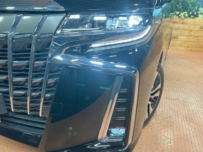 ALPHARD-12