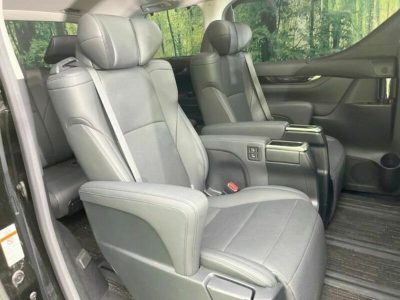 ALPHARD-8