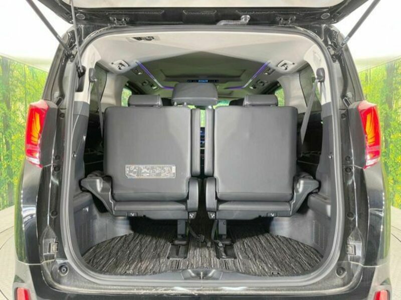 ALPHARD-10
