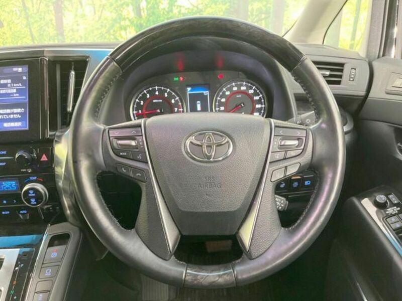 ALPHARD-11
