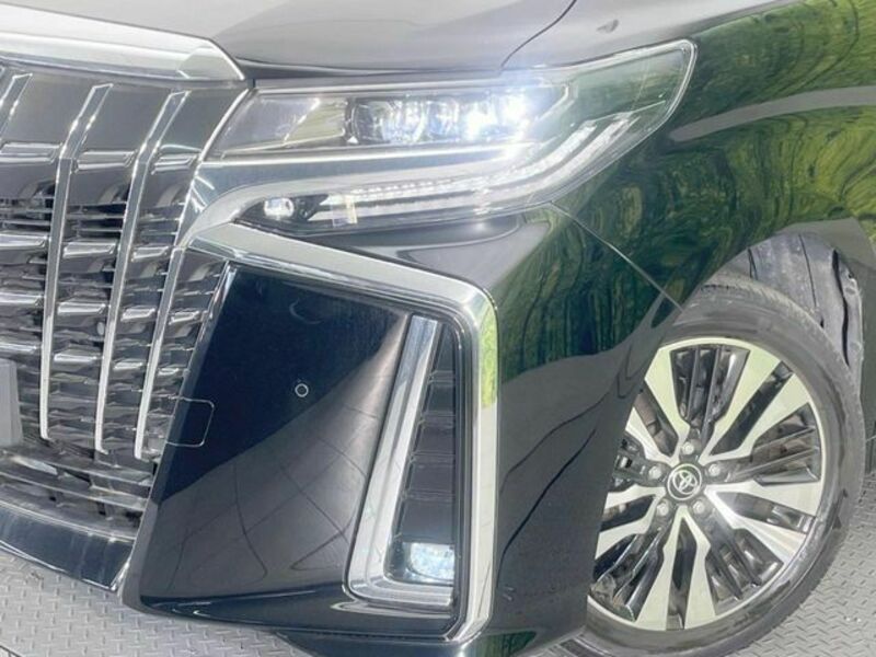 ALPHARD-12