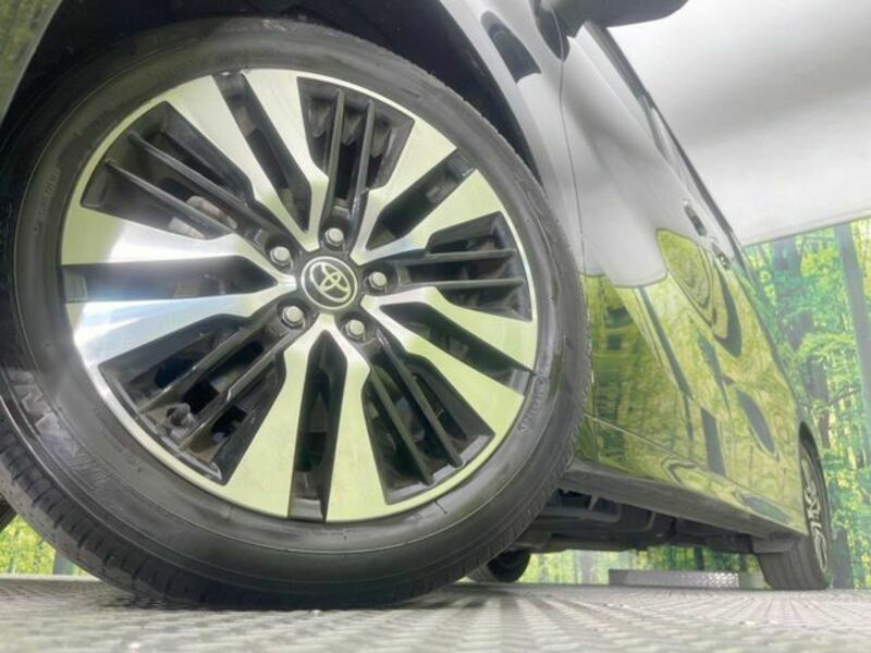 ALPHARD-13