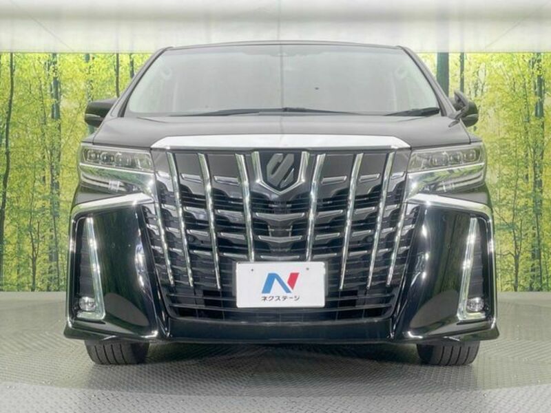 ALPHARD-14