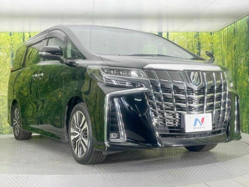 ALPHARD-16