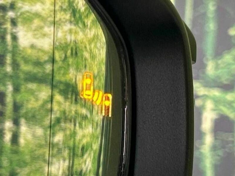 PRIUS-6