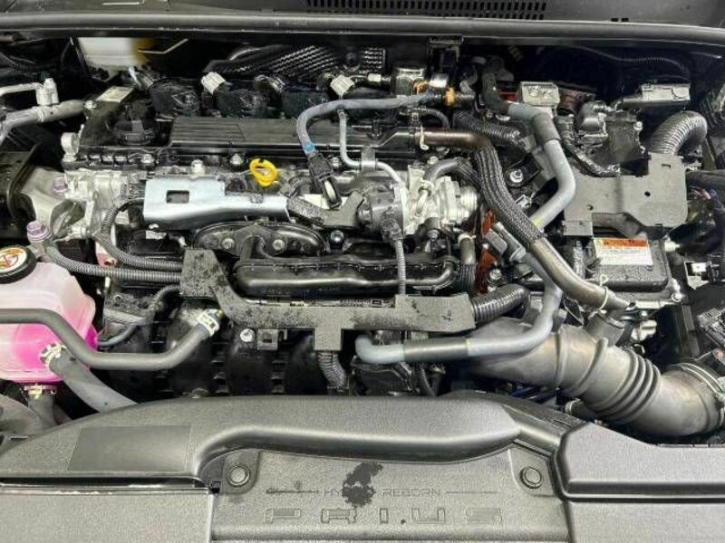 PRIUS-17
