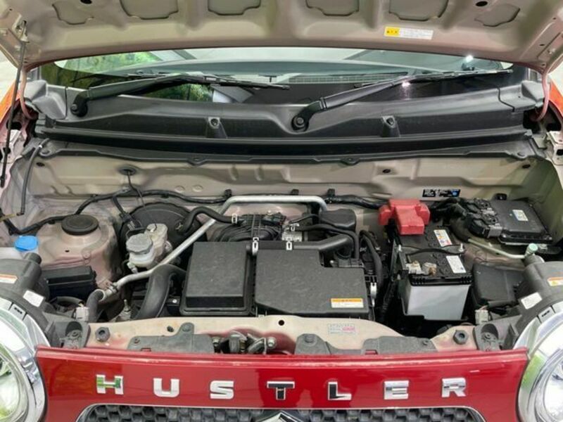 HUSTLER