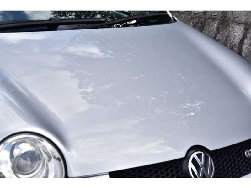 LUPO-16