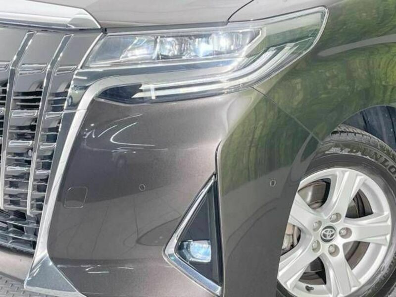 ALPHARD-4