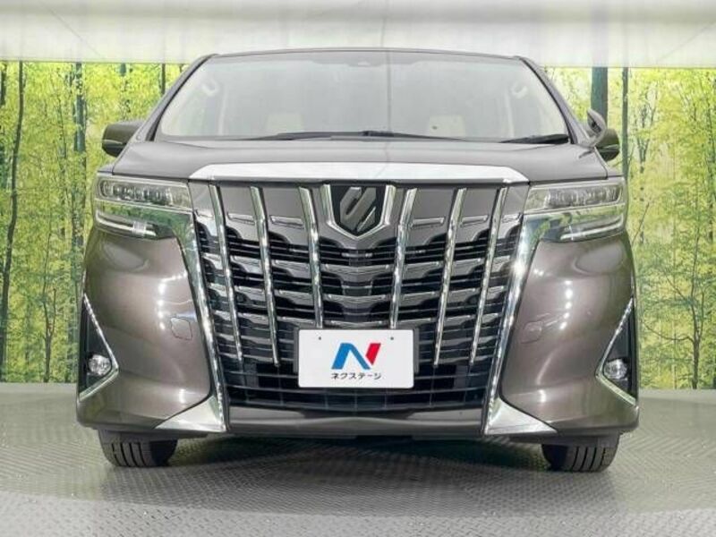 ALPHARD-6