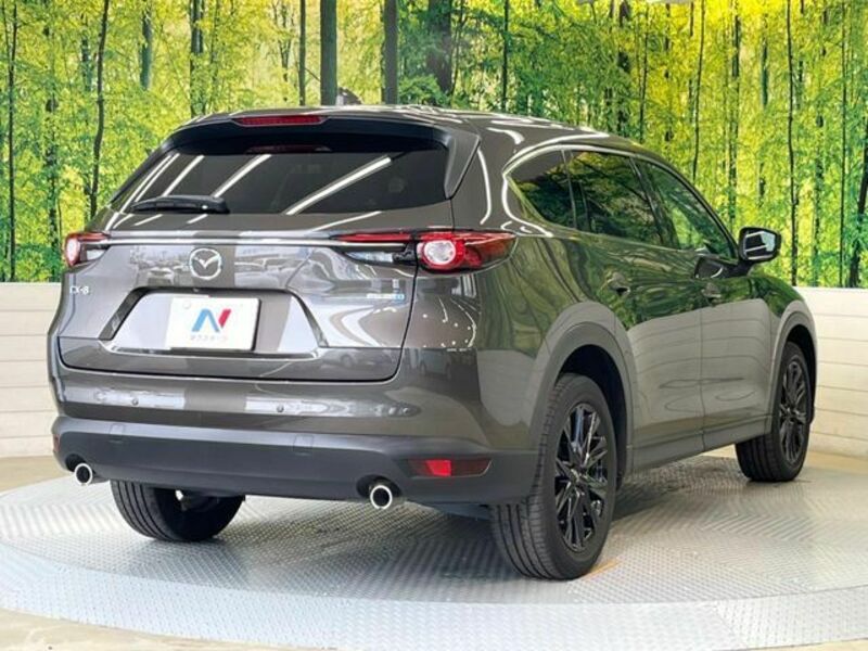 CX-8