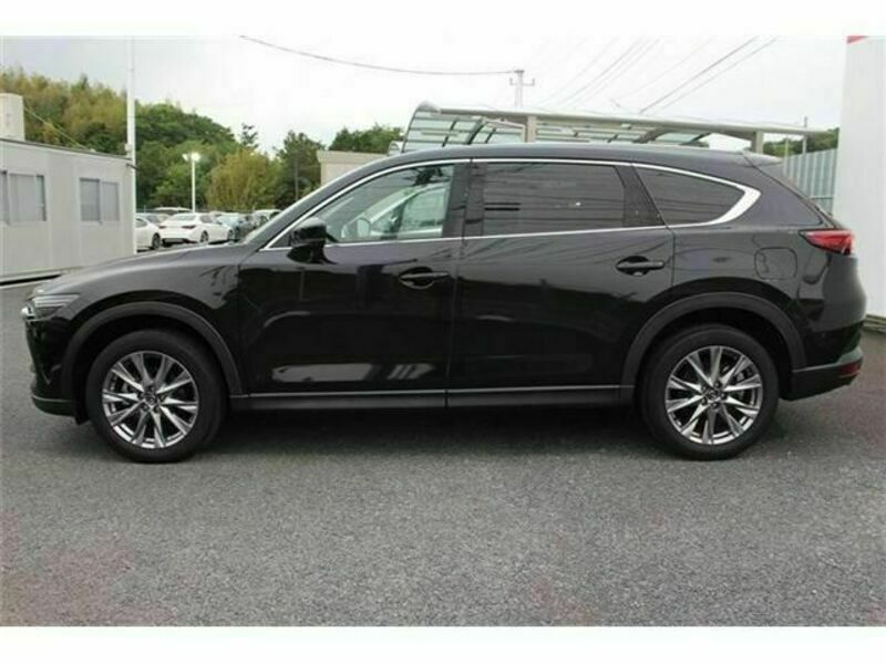 CX-8