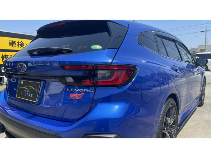 LEVORG