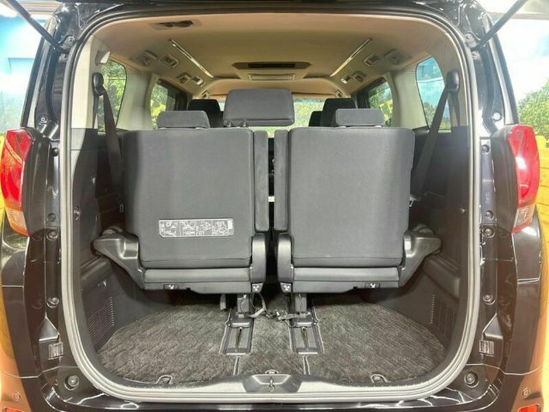 ALPHARD-10