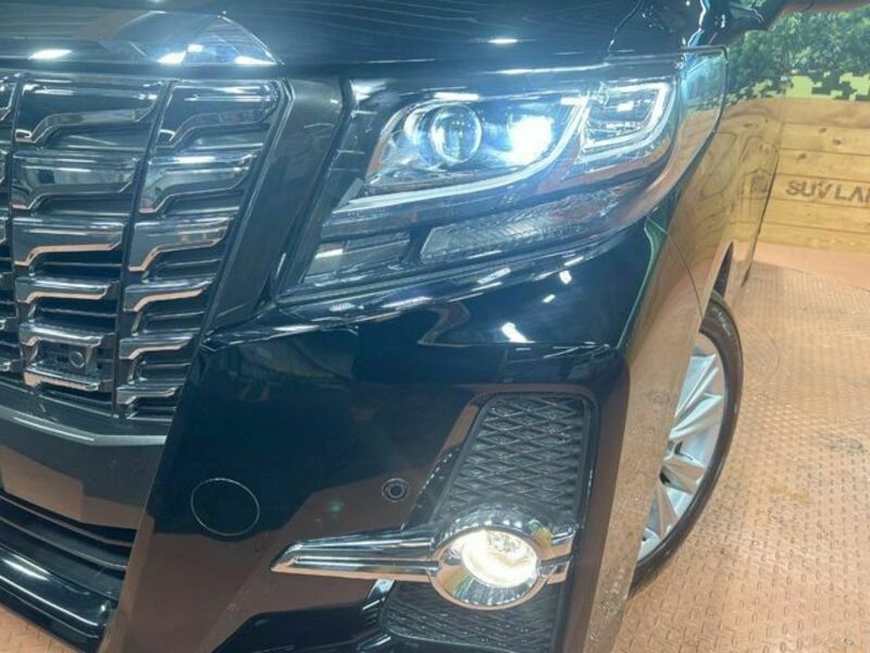 ALPHARD-12