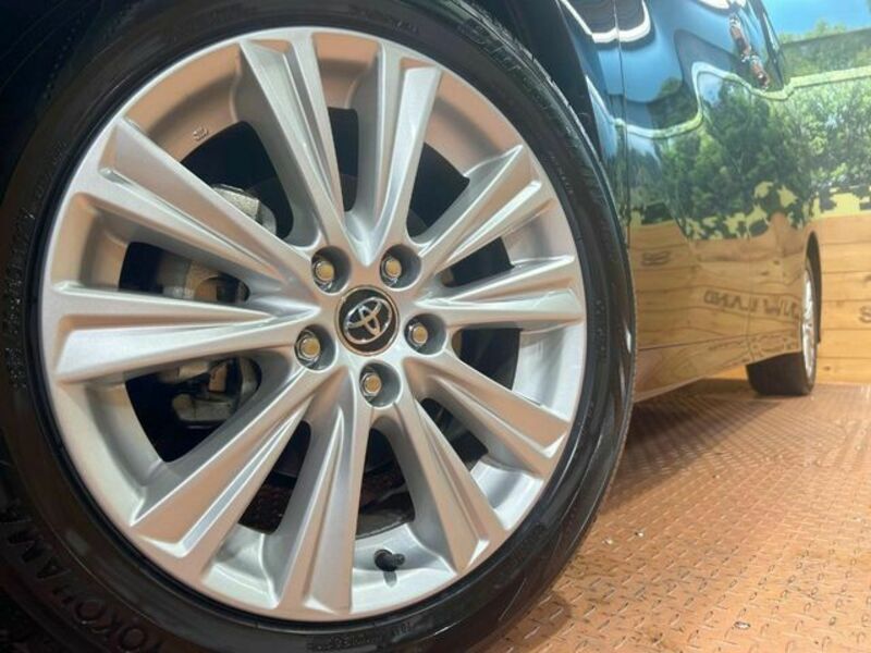 ALPHARD-13