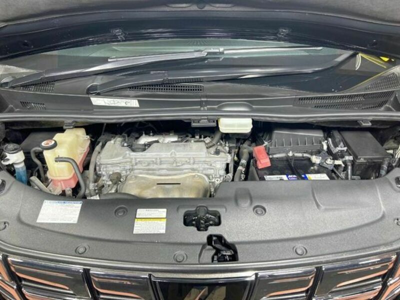 ALPHARD-17