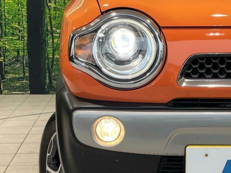 FLAIR CROSSOVER-11