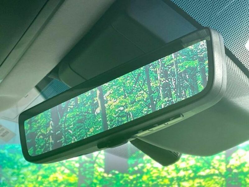 ALPHARD-6
