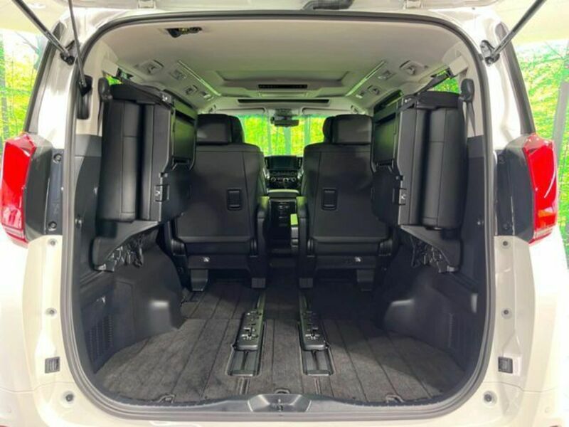 ALPHARD-10