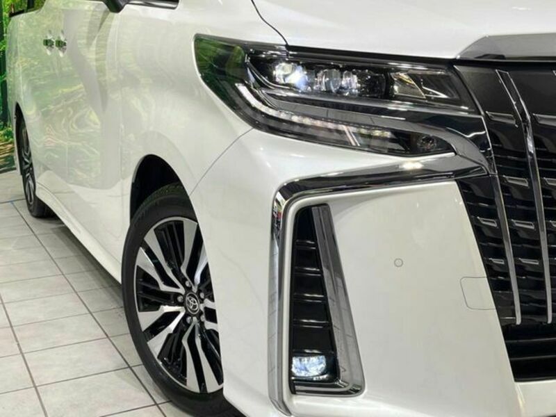 ALPHARD-12