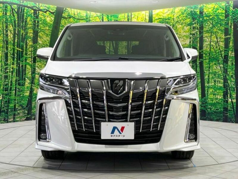 ALPHARD-14