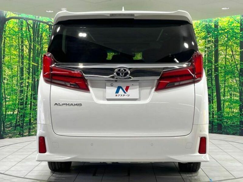 ALPHARD-15
