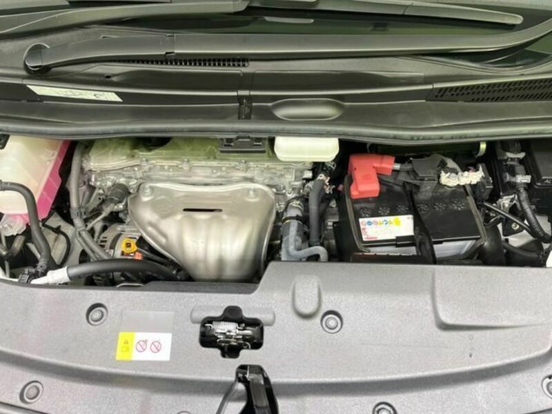 ALPHARD-17