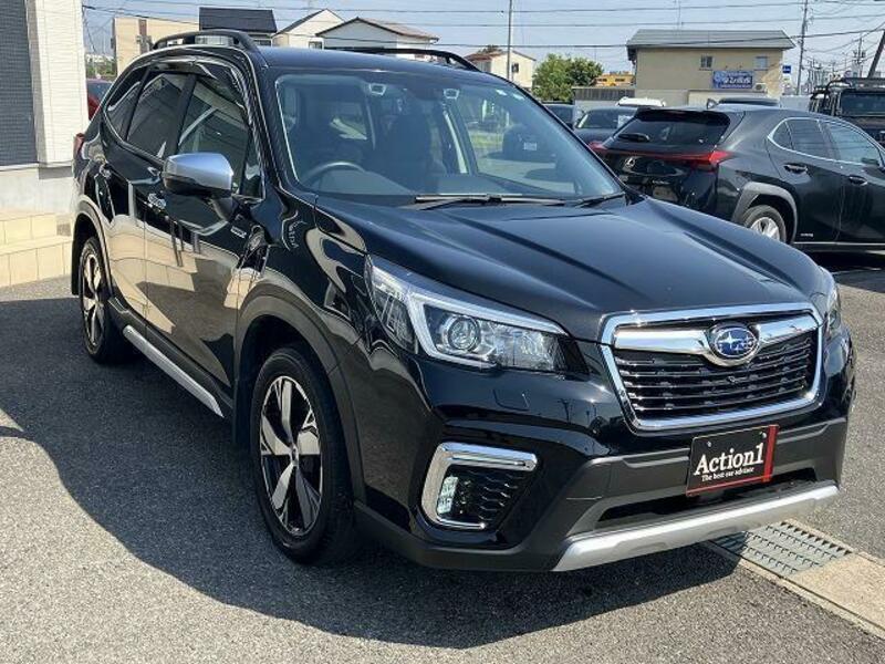 FORESTER