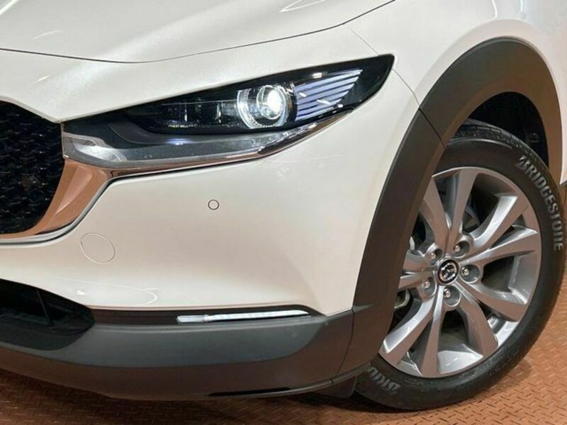 CX-30