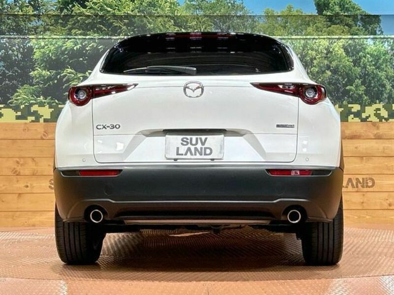 CX-30