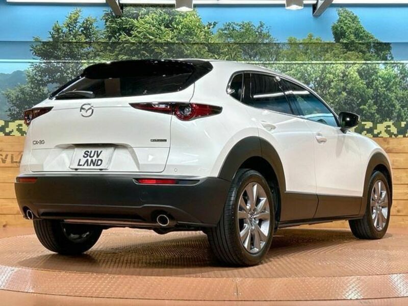 CX-30